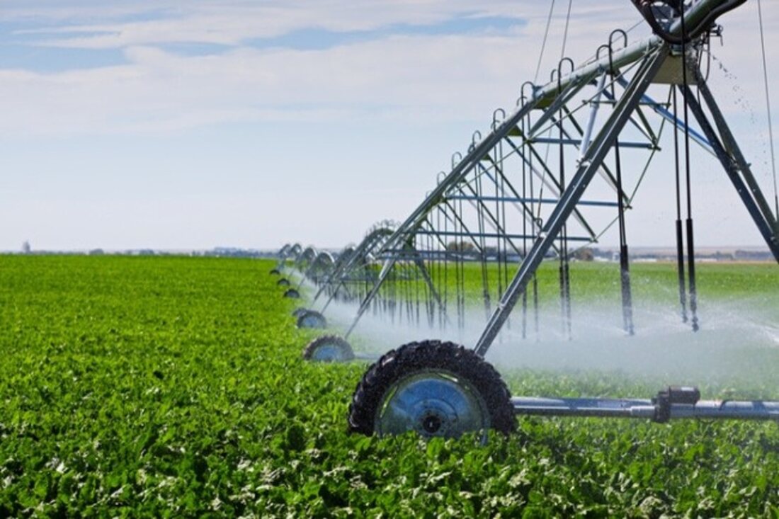 Fodder irrigation for a desert dairy, Gulf