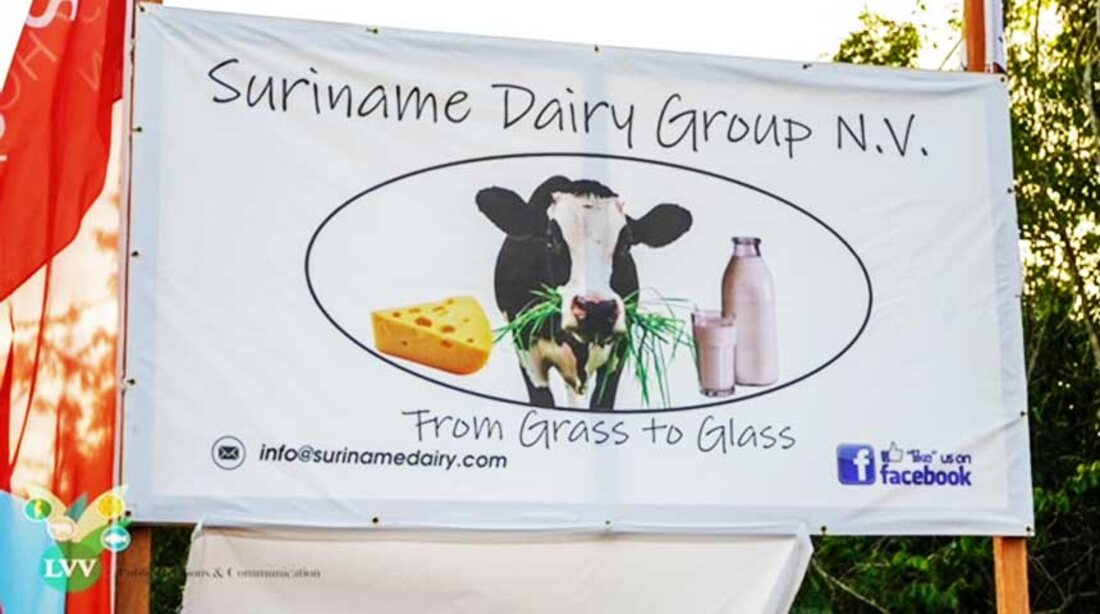 Suriname Dairy Group — From Grass to Glass